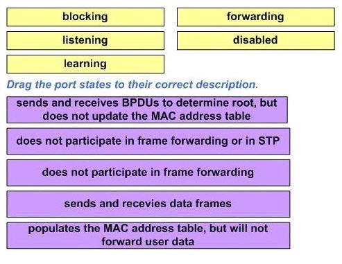 STP_process