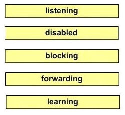 STP_process_answer