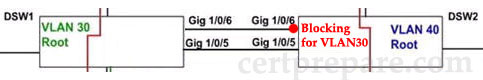 VTP_Lab2_VLAN30_Blocking