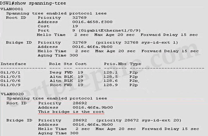 VTP_Lab2_show_spanning-tree