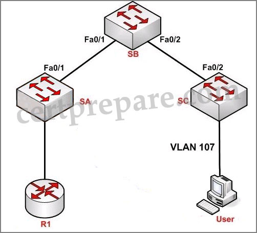 vtp_pruning